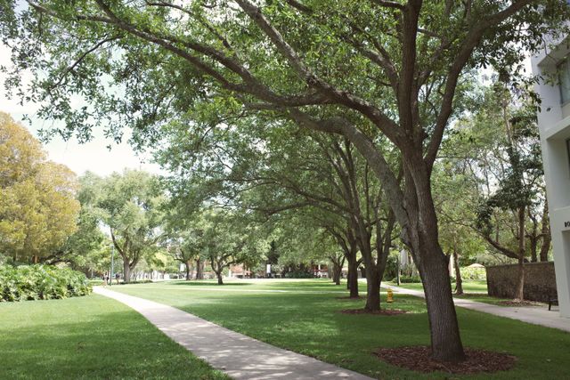 a florida park